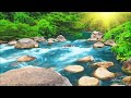 Relaxing Nature Sounds  Water Sound 24 Hours Gentle River u0026 Stream