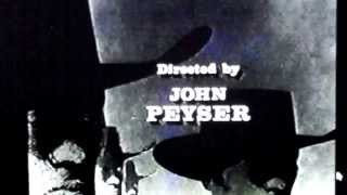 Theme from the TV Western \