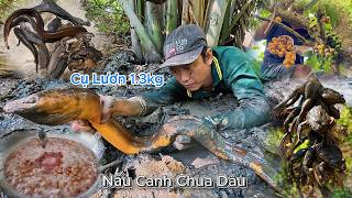 Kiếm Mồi Trong Vườn Bỏ Hoang Lâu Năm | Gấc Quê