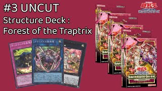 SD Traptrix ของน่ารักมาก็จัดซะหน่อย | Yu-Gi-Oh! ยอดนัก (ทาส) การตลาด #3