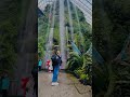 #beautiful #gardenbythebay #Singapore #cloudforest #flowerdome #singapore  #experience #travel