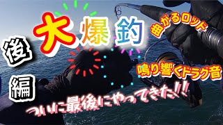 【ショアジギング】ブリを狙います🎣18 後編 2024