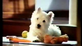 HTV Adverts 1993 (11)