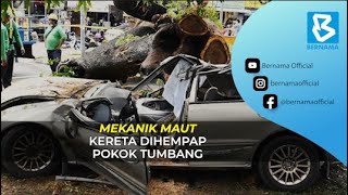 Mekanik maut kereta dihempap pokok tumbang