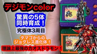 デジモンcolor驚異の5体同時育成！究極体3周目！タマゴからのジョグレス進化！理論上最強のカオスドラモン！ブリッツグレイモン、クーレスガルルモン、ハイアンドロモン、ダークドラモン、ムゲンドラモン