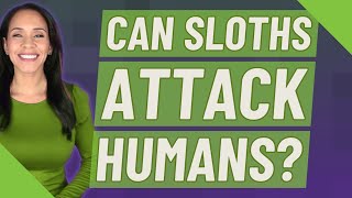 Can sloths attack humans?