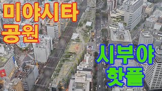 도쿄 시부야 틱톡커들의 핫 플 미야시타 파크 Tokyo Shibuya Miyashita park