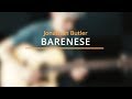 Barenese Jonathan Butler - Guitar Cover