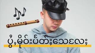 ပွႆႇမိုဝ်းပႅတ်ႈသေလႄႈ - Ngao​ Han​ Fa​ เงาหารฟ้า (Lyrics Video)