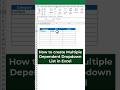 Multiple Dependent Drop Down List In Excel! Learn this in one minute! 😎 #excel #exceltips