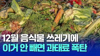 12월 집중 단속 기간! 변경된 쓰레기 분리 배출 규정 무조건 확인하세요.