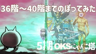 5期「OKSにゃんこ塔」036階～040階のぼってみた【ネタ】【リクエスト】