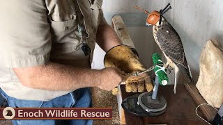 To Be A Falconer | Log \u0026 Base Weight | Ep. 10