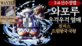 파오캐 1:4신수정맵 원피스:와포루『우걱우걱 열매 능력자』