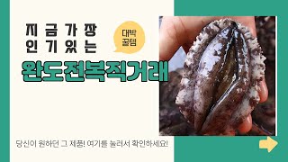 완도전복직거래 추천 | 특가 대잔치! 지금 바로 쇼핑하세요! | 가격 변동 | 업그레이드