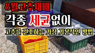 고추 식중독균등 각종 세균없이 고추를 건조하는 가장 기본적인 방법