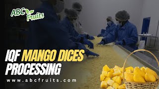Frozen IQF Mango Dices Processing - ABC Fruits, India