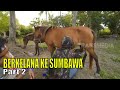 BERKELANA KE SUMBAWA | JEJAK ANAK NEGERI (25/05/23) Part 2