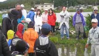 権座ｐｊニゴロブナ稚魚を放流2009 5 30