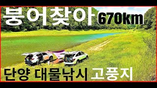 붕어찾아 670km   단양대물낚시  애곡리권~서산 고풍저수지