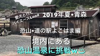 恐山•道の駅よこはま編！愛犬と行くハイエースLoad 車中泊！2019年夏•青森県