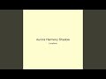 Aurora Harmony Shadow