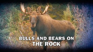 Bulls and Bears on The Rock (TEASER)