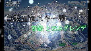 白馬五竜スキー場 初級 とおみゲレンデ