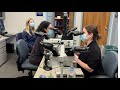 a day in the life of a penn state dermatology residency program hershey pa.