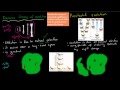 11. Punctuated Equilibrium vs Darwin's Evolution (HSC biology)