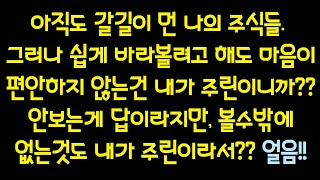 『전지적 캐나다 주린이 시점 83화』 시간이 답이다. 너무 급하게 생각하지 말자!! 이제 시작일뿐!