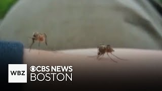 After human case of EEE found, Plymouth and Worcester counties will be sprayed for mosquitos