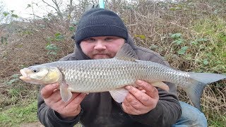 Stick Float Fishing: Winter Chub