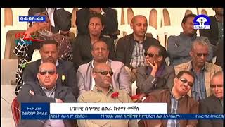 Amazing Poem by Awet wedaj ግጥሚ  ጋዜጠኛ ዓወት ወዳጅ #Tigrai#Mekelle