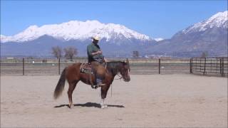 Ranch Sorting Fundamentals