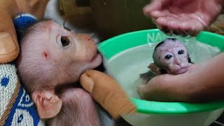 Pippi was very calm while being bathed, the wounds on her face began to heal