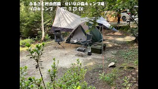 ふるさと村自然園　せいなの森キャンプ場ソロキャンプ