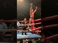 tristan kalkreuth does a back flip moments after ko in heavyweight debut