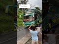 basuri bus zulfikar driver papih agung ex kids panda tunggal jaya🐼 teloletbasuri busmania