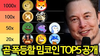 밈코인 ETF 출시로 폭등할 밈코인 TOP5 총정리