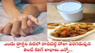 Dry Grapes Benefits: ఎండు ద్రాక్షని నీటిలో నానబెట్టి రోజూ పరగడుపున తింటే కలిగే లాభాలు ఎన్నో