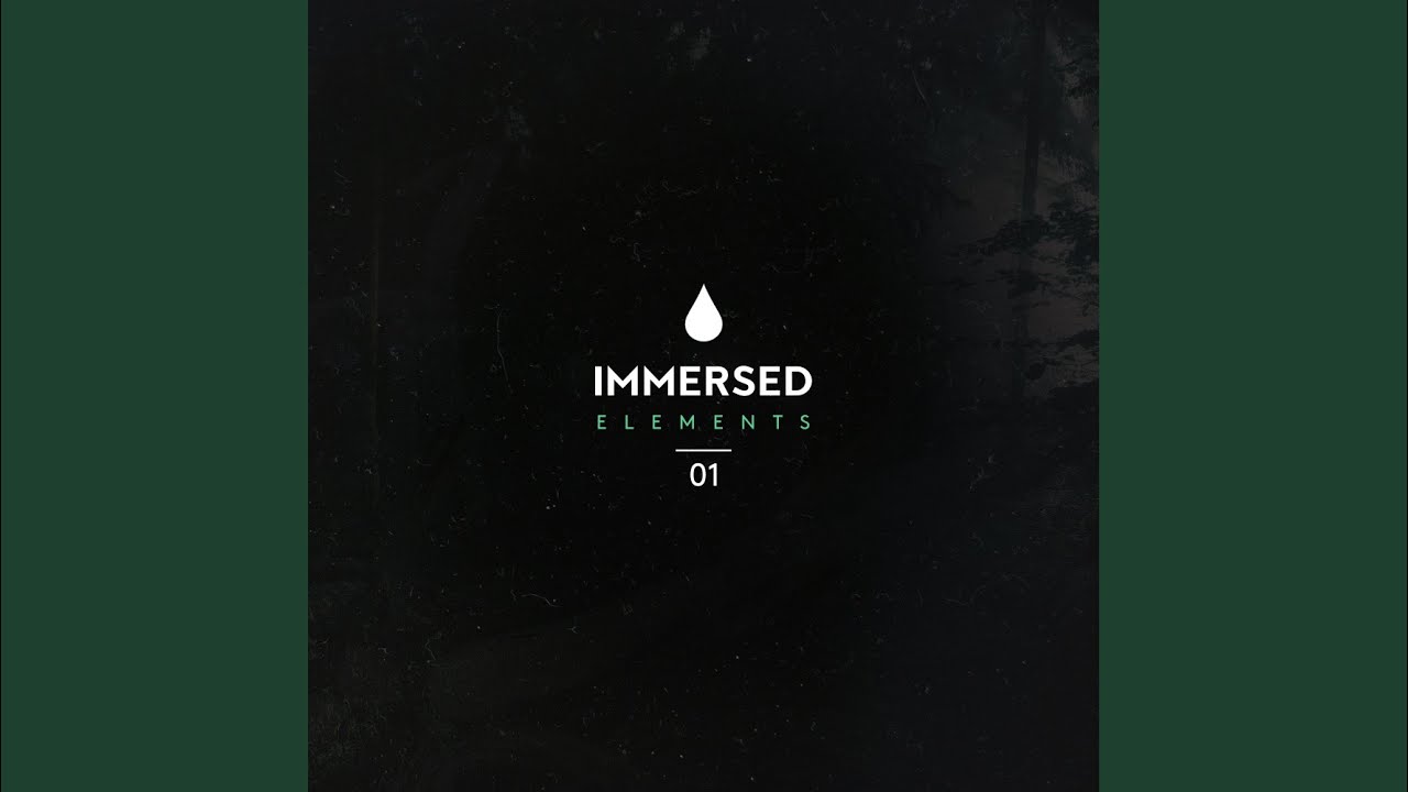 Forward Fast Youtube