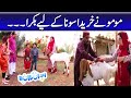 Momo Ne Khareeda Sona Ke Liye Bakra - Mehmood Sahab | Bulbulay