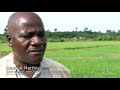 sedoué matthieu anader gagnoa during inland valley visit by cipa project participants