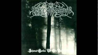 The Sarcophagus - Servant Of Darkness