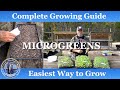 How to Grow Mircogreens from Seed to Harvest | Complete Growing Guide