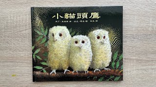 【童書繪本】小貓頭鷹