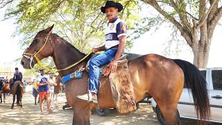 FEIRA DE CAVALOS EM ALTINHO-PE  23-11-2024 #nordeste