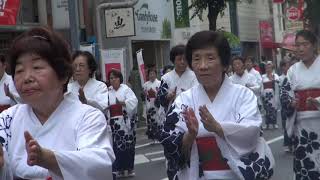 令和元年　浦和おどり　　さくら草連