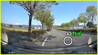 道路上でじっとしていたカメを助ける　【ドライブレコーダー】